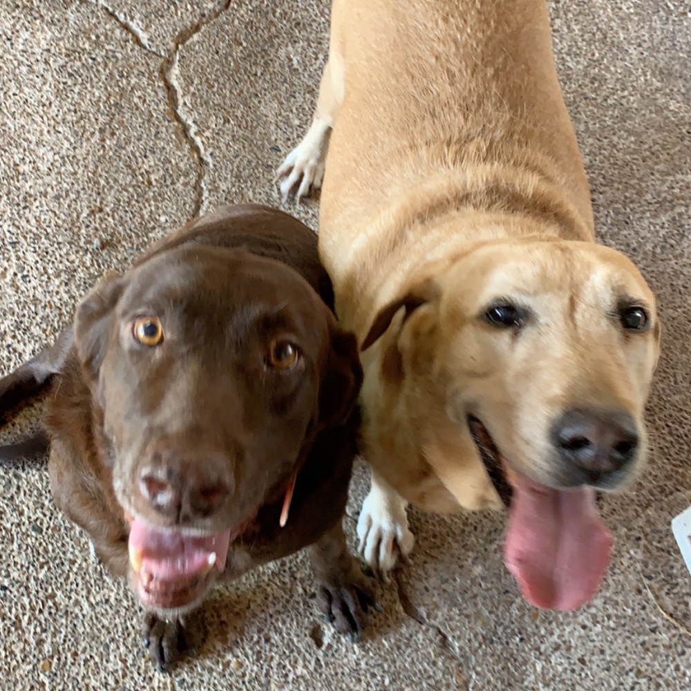 Meet your Posher, Luis